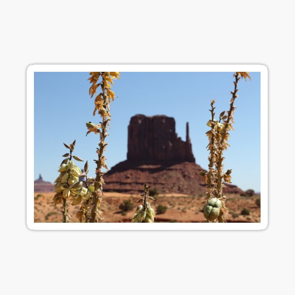 national park photo Sticker