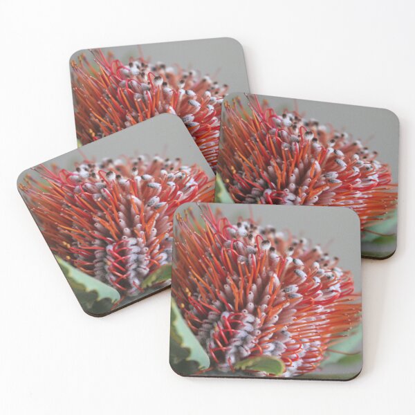 Item preview, Banksia in bloom designed and sold by ljdewet.