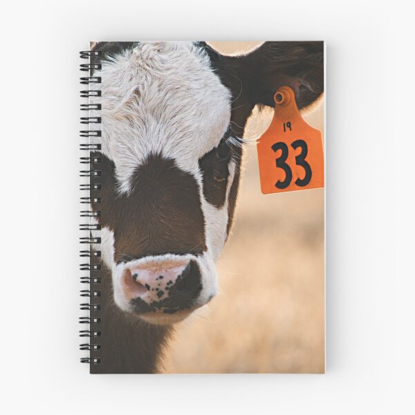 Item preview, Cattle  designed and sold by Rebeccamckelvey.
