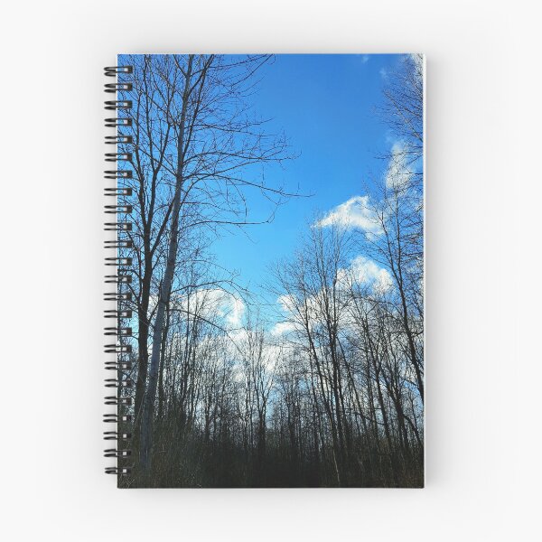 Item preview, Reach for the Sky designed and sold by KatScottArt.