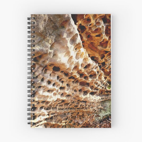 Item preview, Nature's Apartment Building designed and sold by KatScottArt.