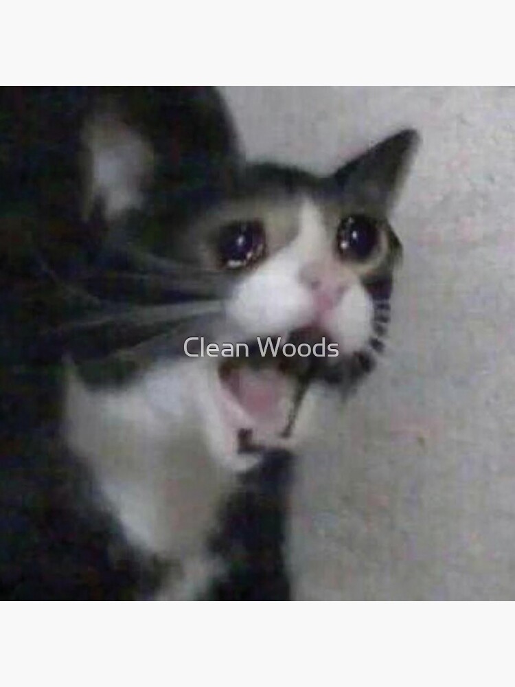 Hazwani on X: a thread of crying cat memes  / X