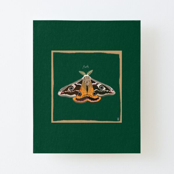 Moth Canvas Mounted Print