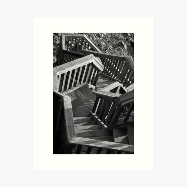 Ingenious Steps Art Print