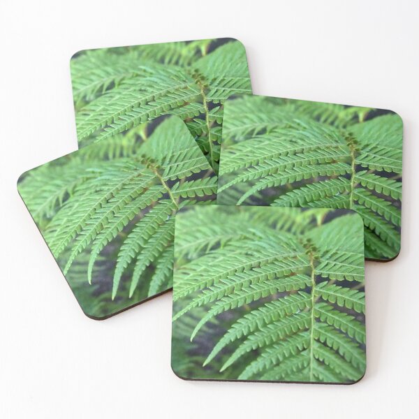 Item preview, Fern in the Forest designed and sold by Douglas E. Welch Design and Photography.
