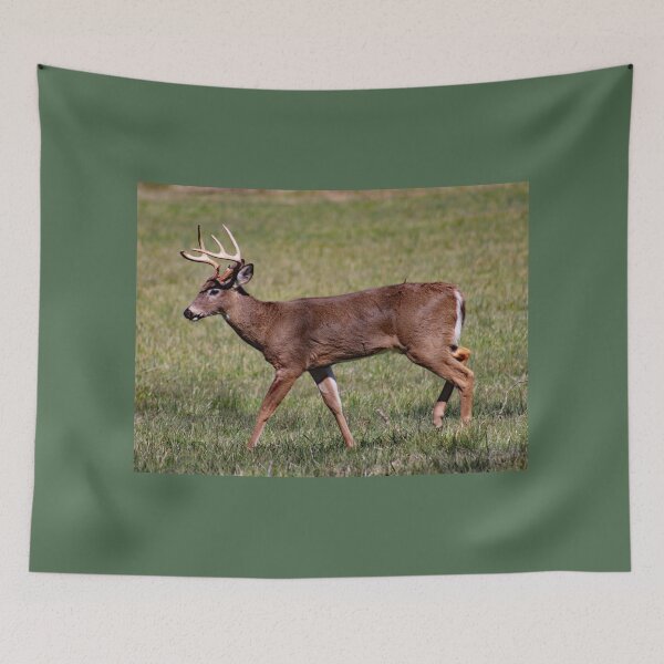 Item preview, Lazy Buck Days designed and sold by Jennifer Leonard.