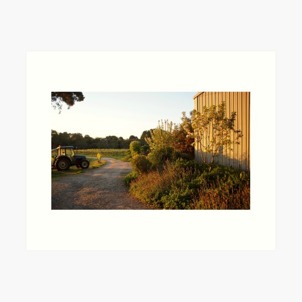 Driveway - Magpie Springs -Adelaide Hills Wine Region - Fleurieu Peninsula by South Australian artist Avril Thomas Art Print
