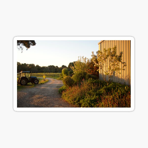 Item preview, Driveway  - Magpie Springs -Adelaide Hills Wine Region - Fleurieu Peninsula by South Australian artist Avril Thomas designed and sold by MagpieSprings.