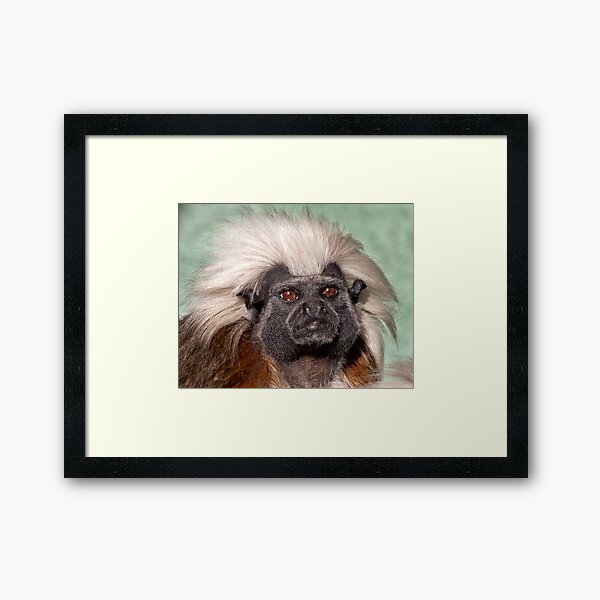 The Warrior Framed Art Print