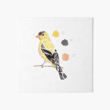 goldfinch watercolor