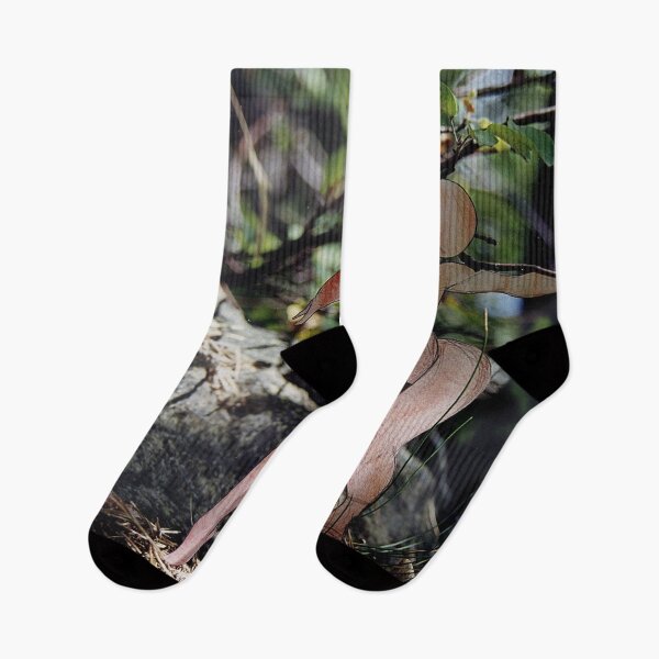 Item preview, Spirit of the Woods designed and sold by Luca Mesini.