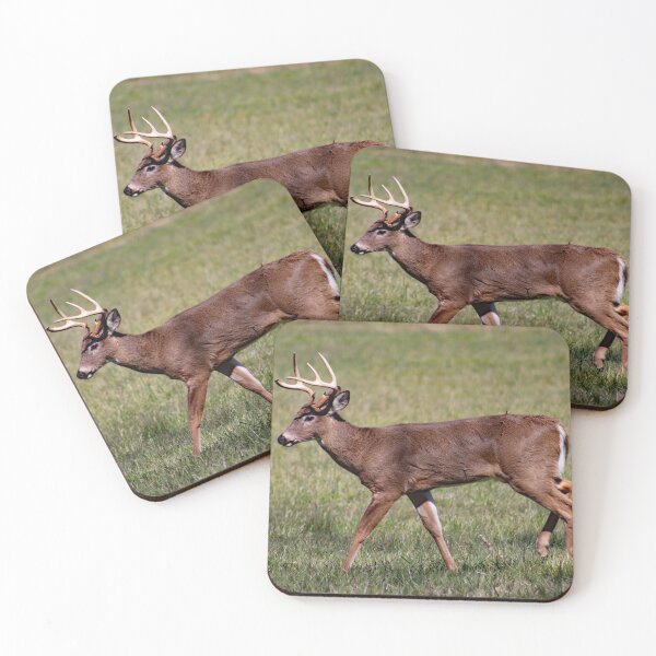 Item preview, Lazy Buck Days designed and sold by Jennifer Leonard.
