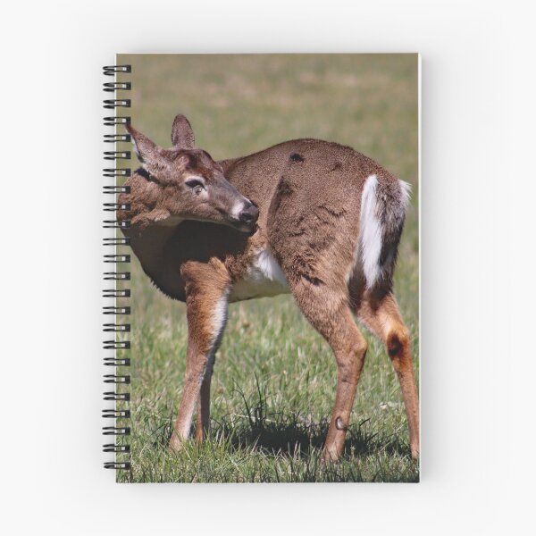 Item preview, Deer designed and sold by Jennifer Leonard.