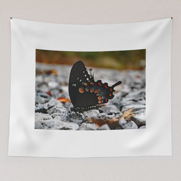 Item preview, Swallowtail Butterfly designed and sold by Jennifer Leonard.