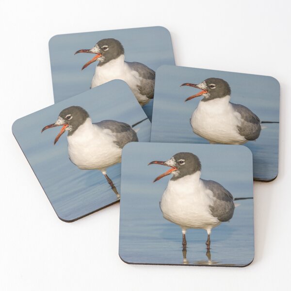 Item preview, Lauging Gull Calling designed and sold by Gerard Fornarotto.