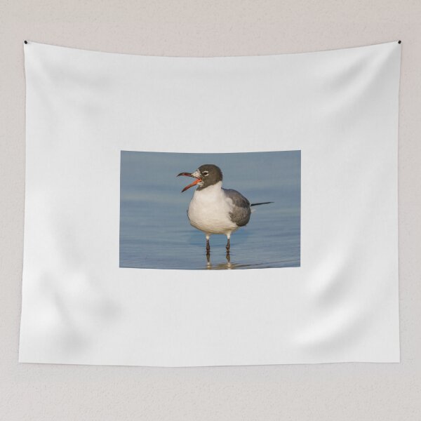 Item preview, Lauging Gull Calling designed and sold by Gerard Fornarotto.