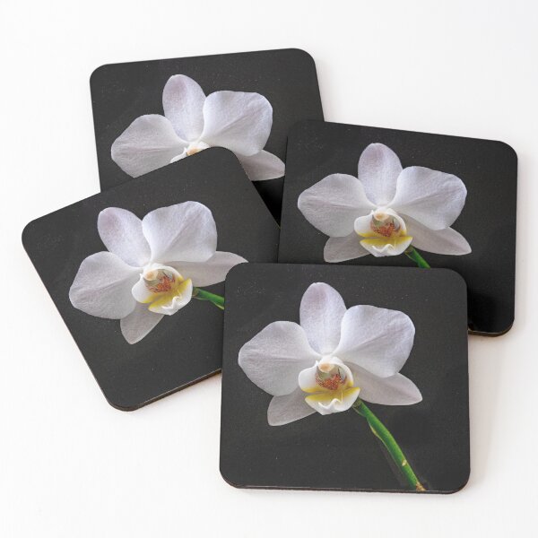 Item preview, Phalaenopsis - Orchid designed and sold by DPalmer.