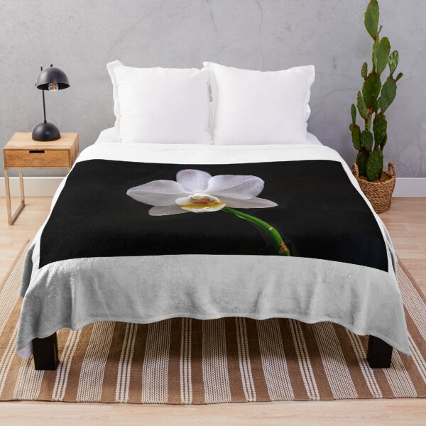 Item preview, Phalaenopsis - Orchid designed and sold by DPalmer.