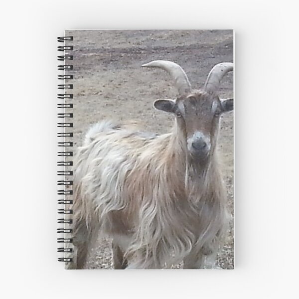 Item preview, Meet Sven designed and sold by Robin Kinnard.