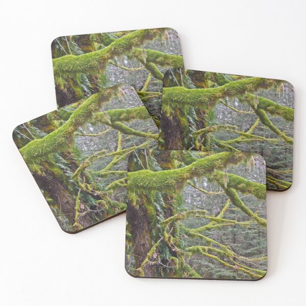 Item preview,  MOSS AND FERN COVERED TREES AT CRESCENT LAKE designed and sold by Elaine Bawden.