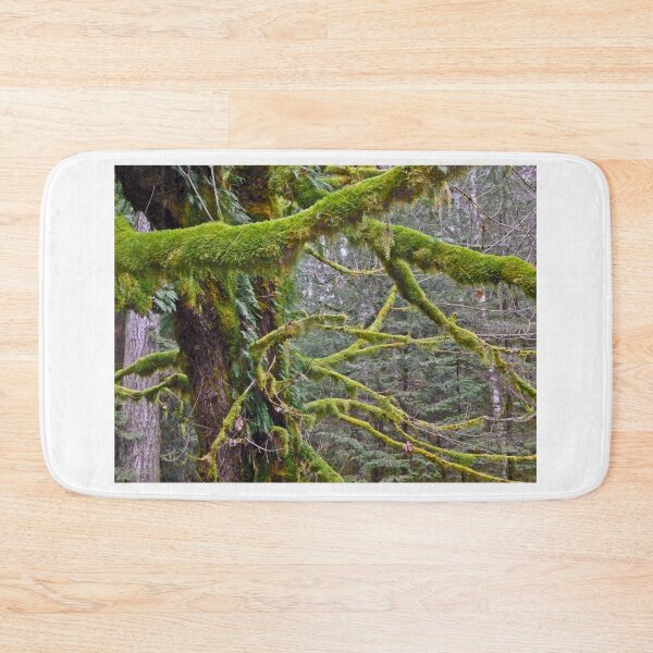 Item preview,  MOSS AND FERN COVERED TREES AT CRESCENT LAKE designed and sold by Elaine Bawden.