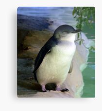 Ah the peace and quiet Metal Print