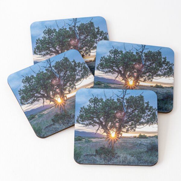Item preview, Sun Tree Hammock // Grainy Night Sunset Rays Hiking Landscape Photograph Wilderness Beauty designed and sold by catbyrdcolorado.