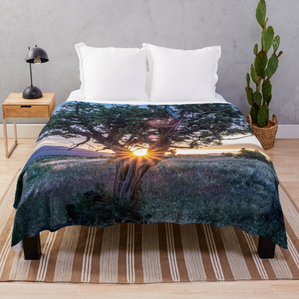 Item preview, Sun Tree Hammock // Grainy Night Sunset Rays Hiking Landscape Photograph Wilderness Beauty designed and sold by catbyrdcolorado.