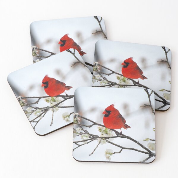 Item preview, Hanging on for dear life. designed and sold by Catherine Sherman.
