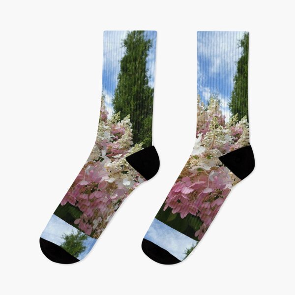 Item preview, Capturing Nature designed and sold by Sandra Fortier.