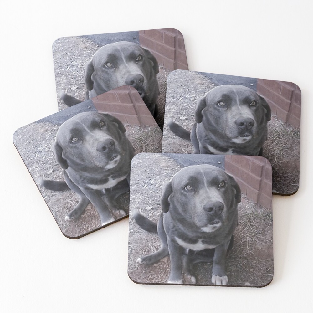 Item preview, Coasters (Set of 4) designed and sold by Rkwkinnard.