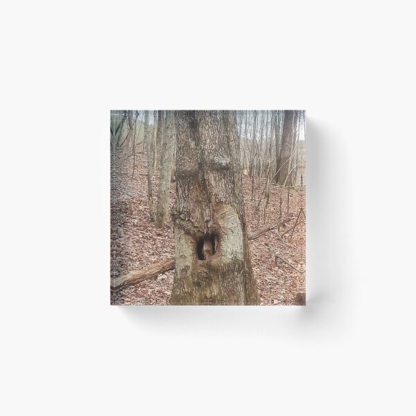 Item preview, Old Man in the Tree designed and sold by Robin Kinnard.