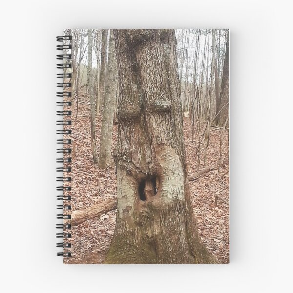 Item preview, Old Man in the Tree designed and sold by Robin Kinnard.
