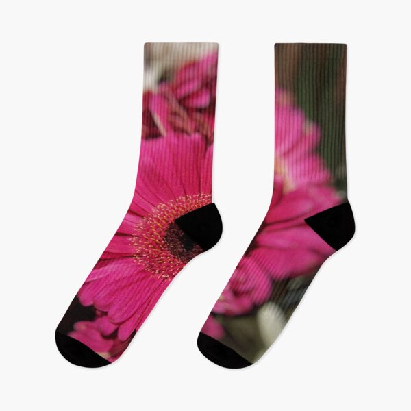 Item preview, Gerbera Daisy DPSS171021a designed and sold by CSteenArt.