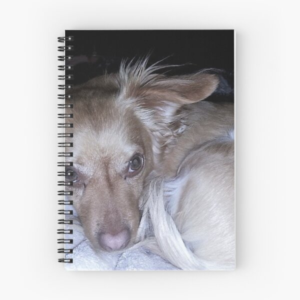 Item preview, Did you Call? designed and sold by Robin Kinnard.