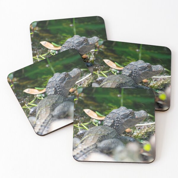 Item preview, American Alligator designed and sold by Casey Wilcox.