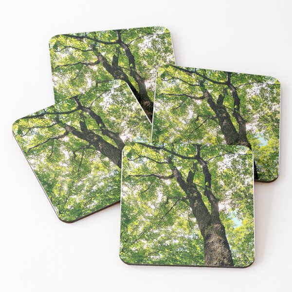Item preview, Foot of the Tree designed and sold by KatScottArt.