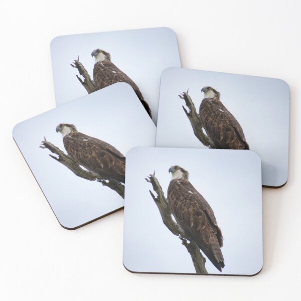 Item preview, Osprey designed and sold by Casey Wilcox.
