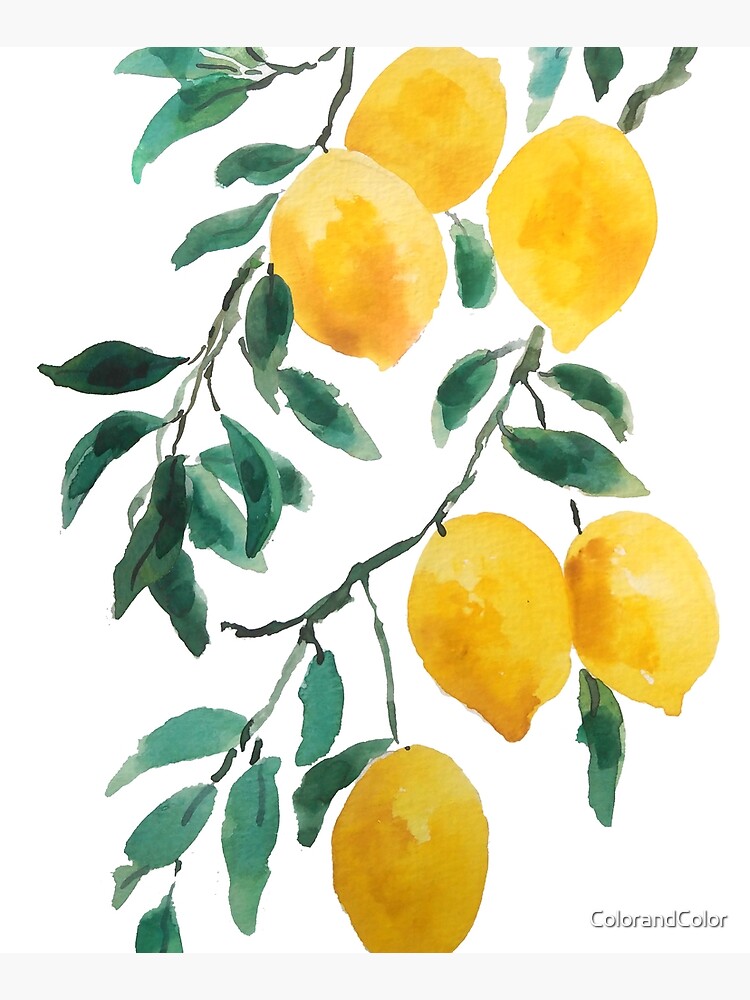 yellow lemon watercolor by ColorandColor