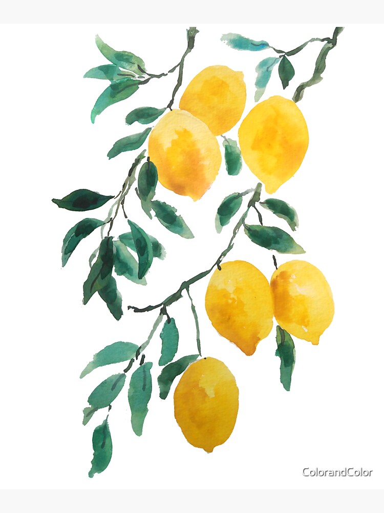 yellow lemon watercolor by ColorandColor