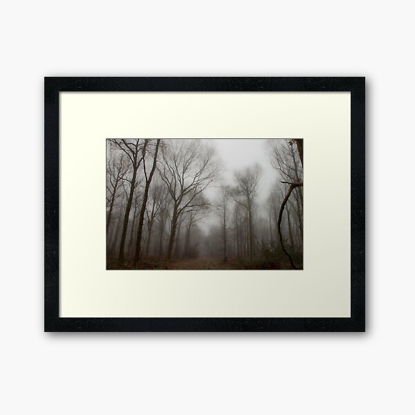 Wonderland Framed Art Print