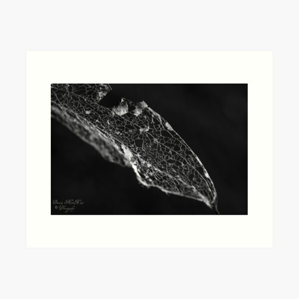 All That Remains Art Print