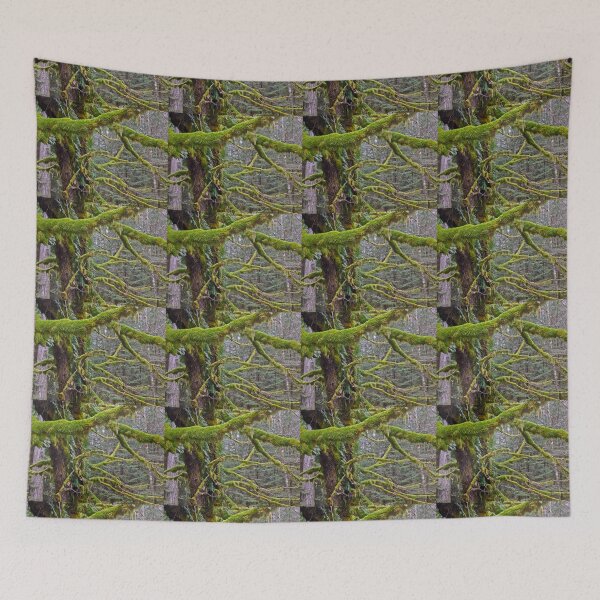 Item preview,  MOSS AND FERN COVERED TREES AT CRESCENT LAKE designed and sold by Elaine Bawden.