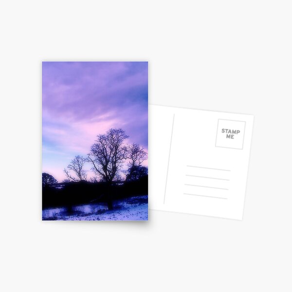 Tree no2 Postcard