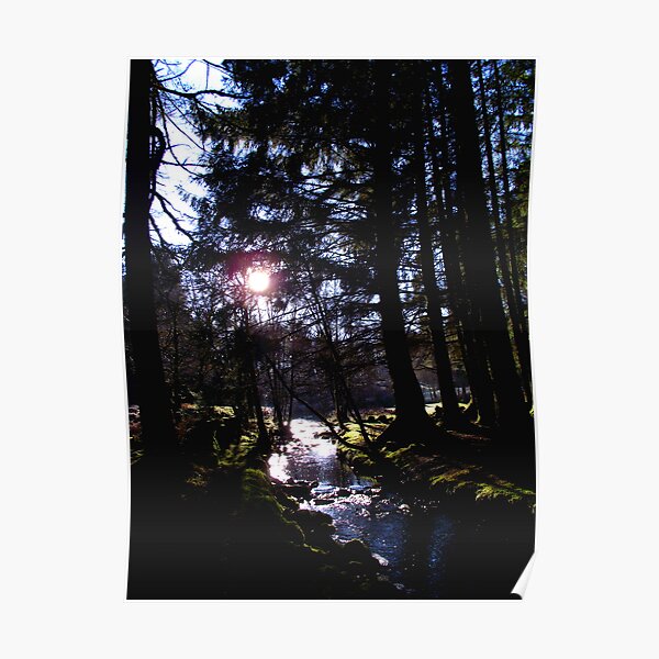 Winter afternoon at Kenick Burn Poster