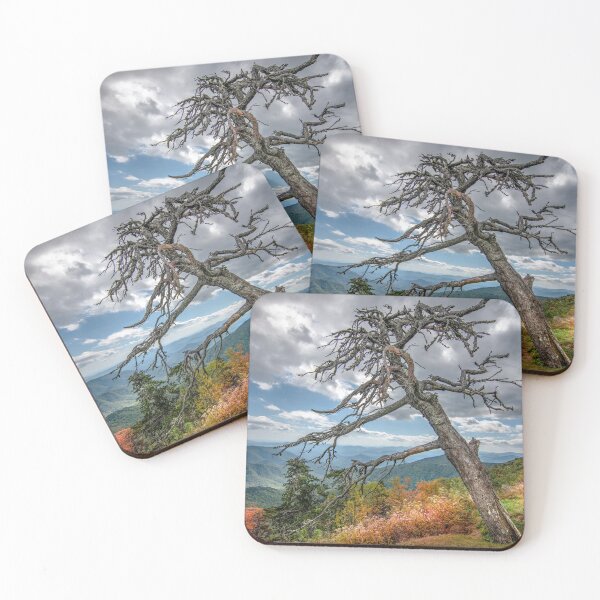 Item preview, HDR Fall foliage starting to show in Blue Ridge Parkway designed and sold by rodgimenez.