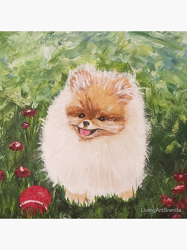 red pomeranian puppy