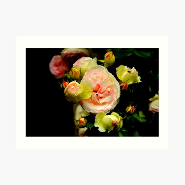 Black Bouquet Art Print