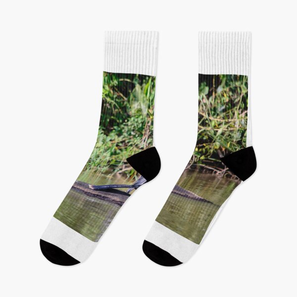 Item preview, Anhinga designed and sold by raymona pooler.