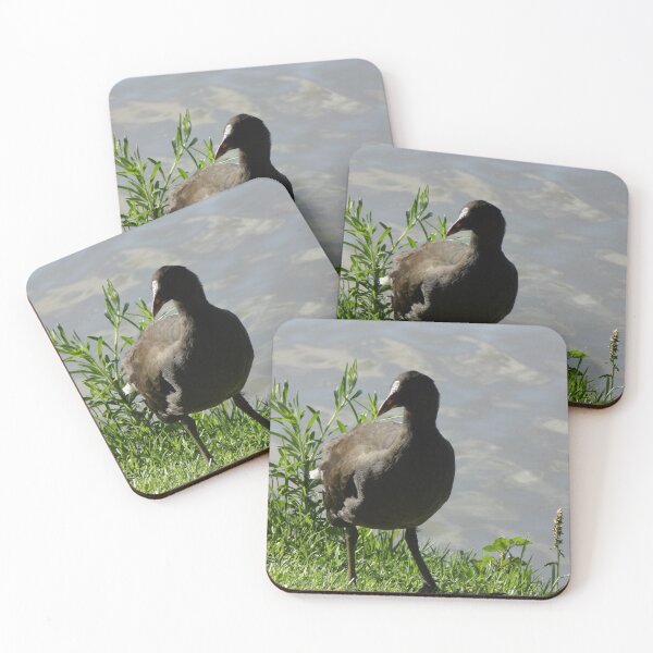 Item preview, Young Moorhen designed and sold by Moonshine Paradise.